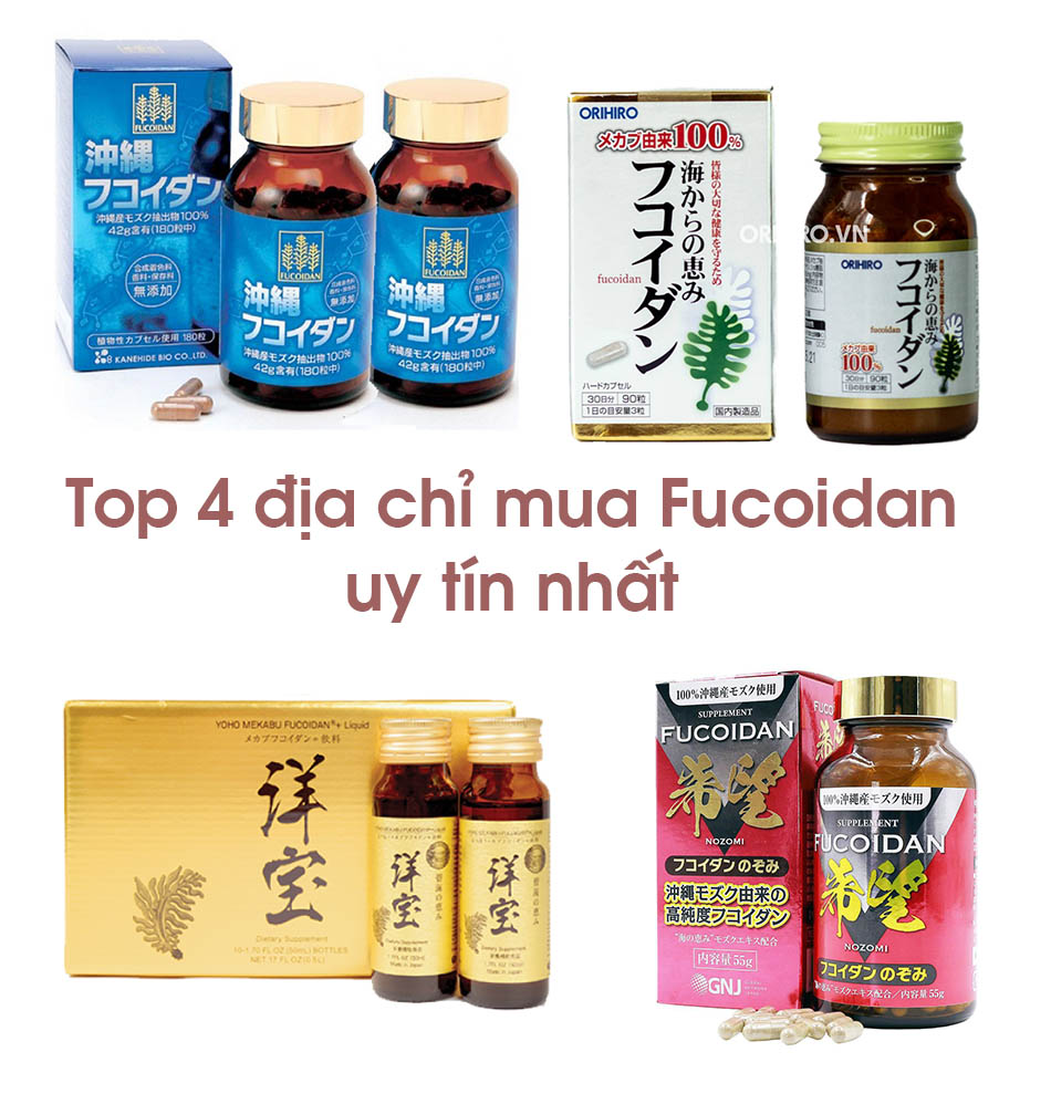 [Review] Top 4 địa chỉ mua Fucoidan uy tín nhất Việt Nam