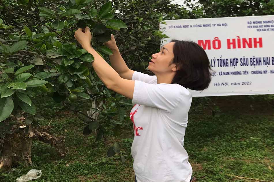 Thạc Sĩ Nguyễn Thị Như Quỳnh- Trung tâm đấu tranh sinh vật, viện bảo vệ thực vật