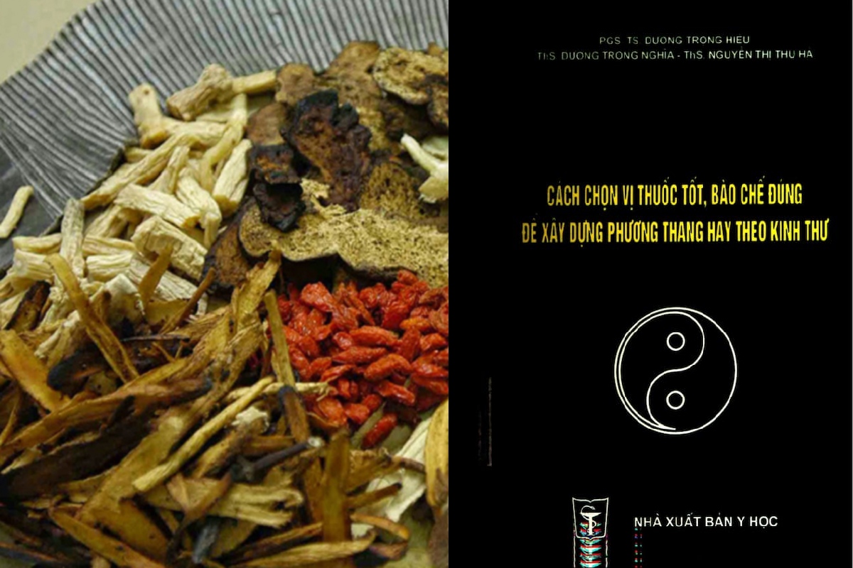 [TẢI PDF MIỄN PHÍ] Cách Chọn Vị Thuốc Tốt, Bào Chế Đúng Để Xây Dựng Phương Thang Hay Theo Kinh Thư – MyHanoi